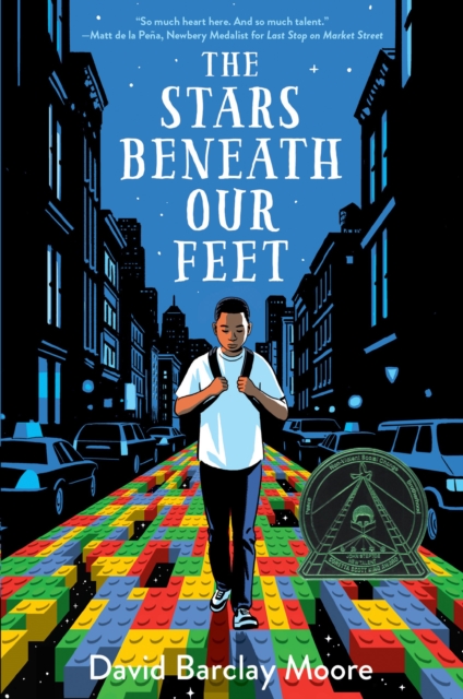 Book cover of The Stars Beneath Our Feet