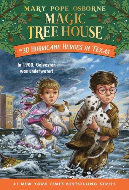Book cover of Hurricane Heroes in Texas