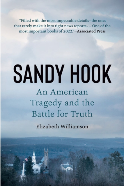 Book cover of Sandy Hook