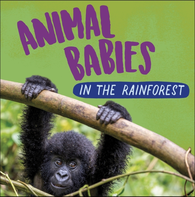 Book cover of Animal Babies: In the Rainforest