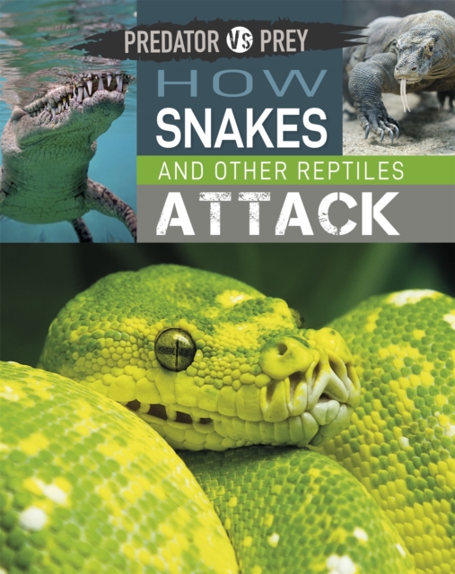 Book cover of Predator vs Prey: How Snakes and other Reptiles Attack