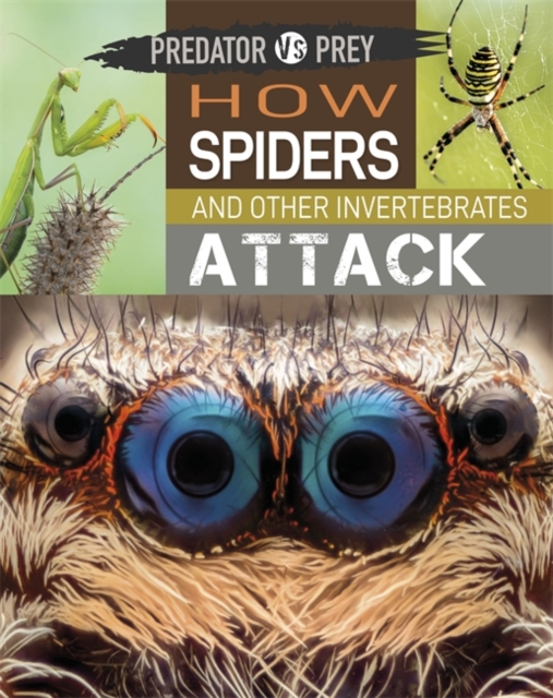 Book cover of Predator vs Prey: How Spiders and other Invertebrates Attack