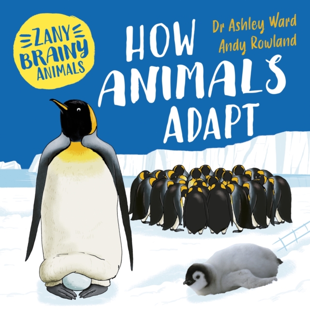 Book cover of Zany Brainy Animals: How Animals Adapt