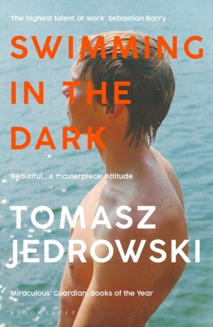 Book cover of Swimming in the Dark