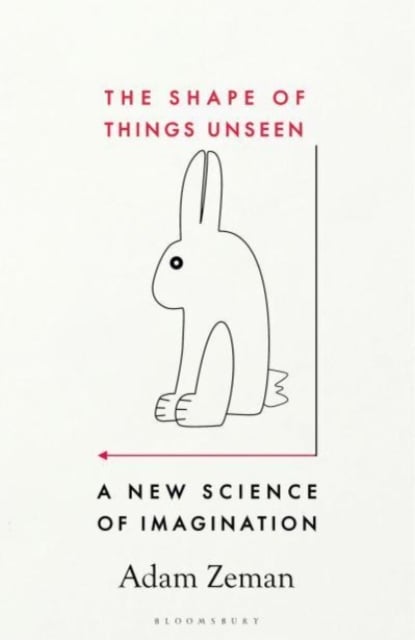 Book cover of The Shape of Things Unseen