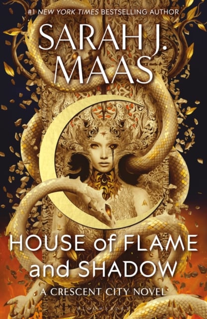 Book cover of House of Flame and Shadow