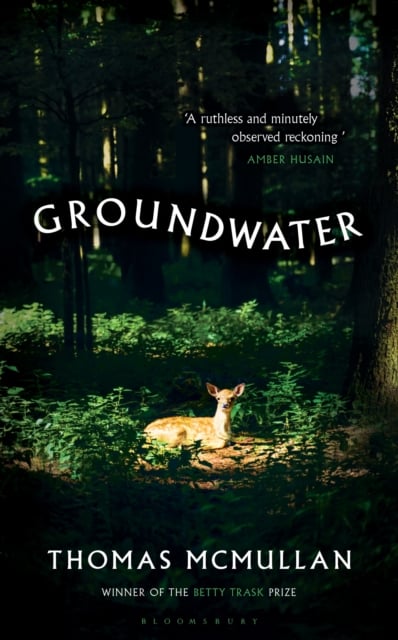 Book cover of Groundwater