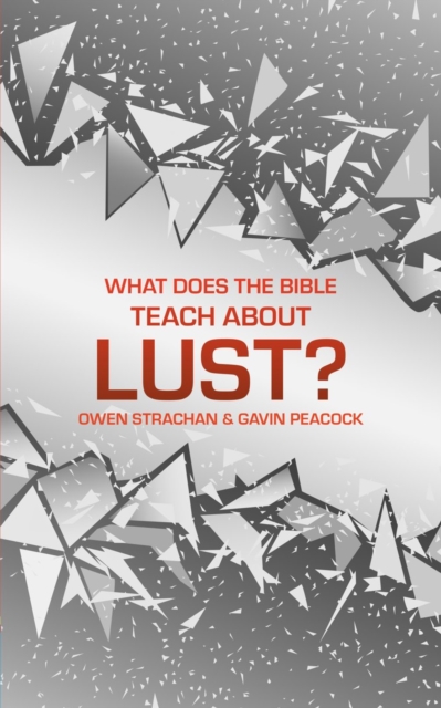 Book cover of What Does the Bible Teach about Lust?