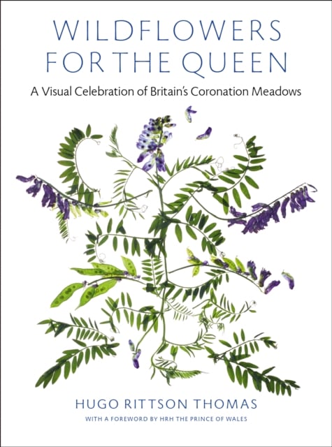 Book cover of Wildflowers for the Queen