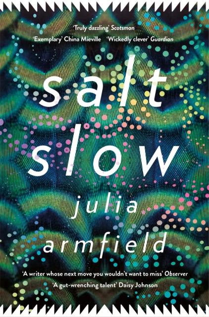Book cover of Salt Slow