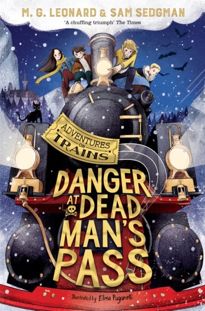 Book cover of Danger at Dead Man's Pass