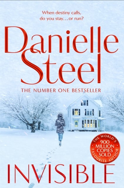 Book cover of Invisible