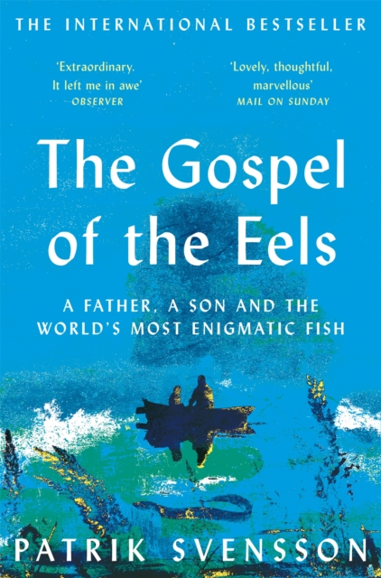 Book cover of The Gospel of the Eels