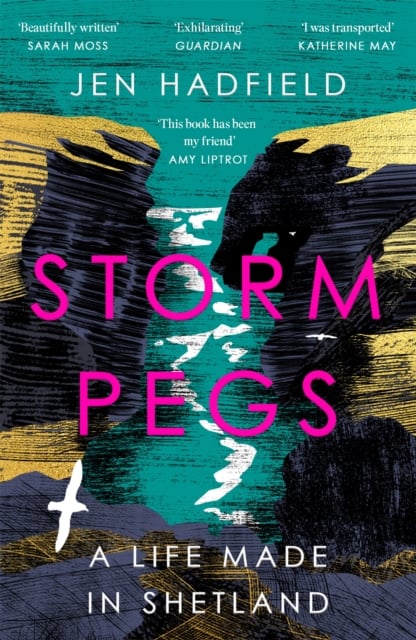 Book cover of Storm Pegs