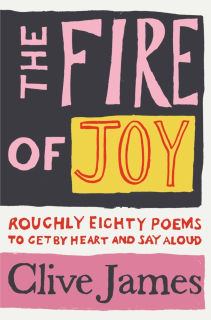 Book cover of The Fire of Joy