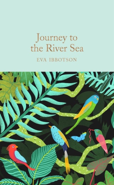 Book cover of Journey to the River Sea