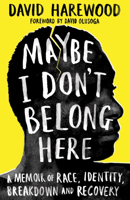 Book cover of Maybe I Don't Belong Here