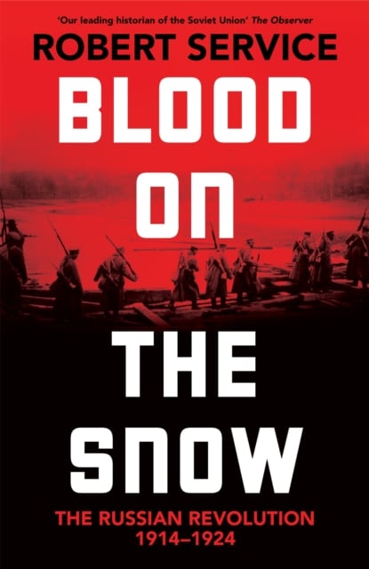 Book cover of Blood on the Snow