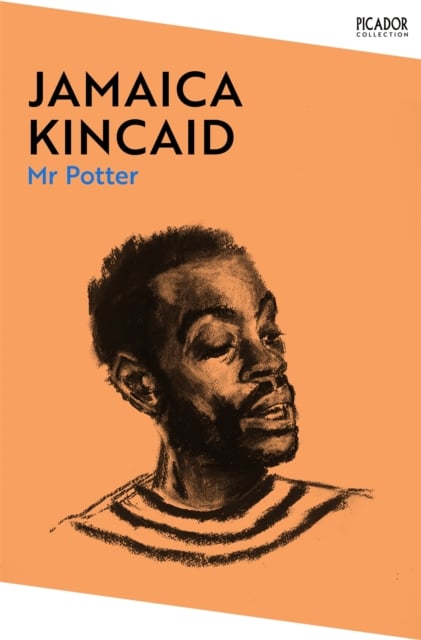 Book cover of Mr Potter