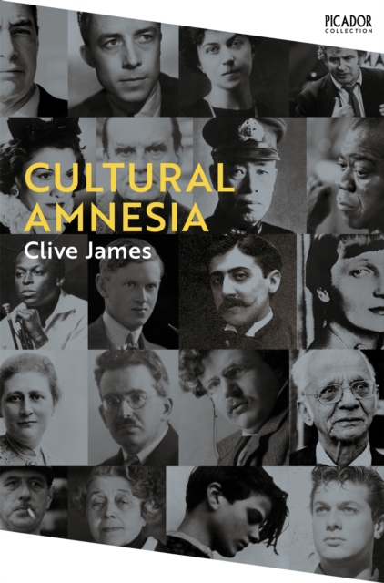 Book cover of Cultural Amnesia