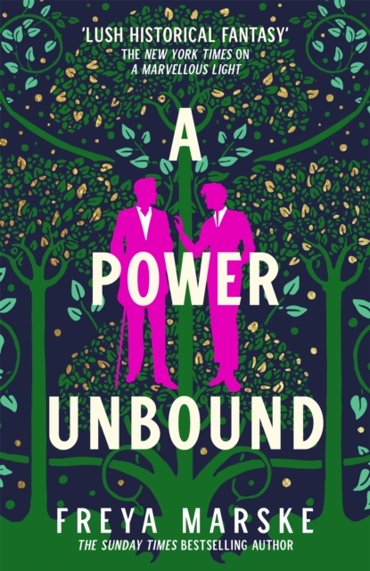 Book cover of A Power Unbound