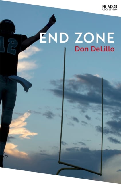 Book cover of End Zone