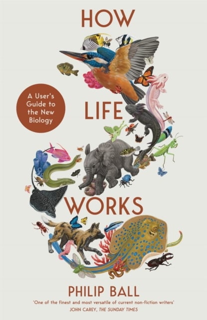 Book cover of How Life Works