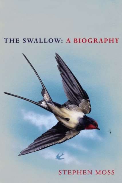 Book cover of The Swallow