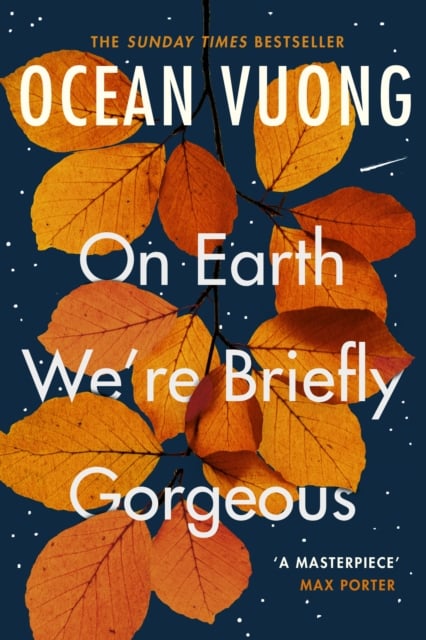 Book cover of On Earth We're Briefly Gorgeous