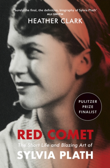 Book cover of Red Comet