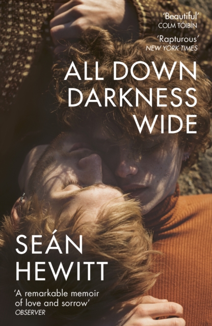 Book cover of All Down Darkness Wide
