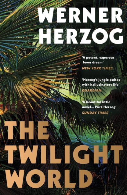 Book cover of The Twilight World