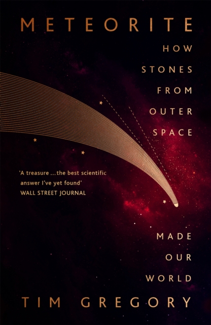 Book cover of Meteorite