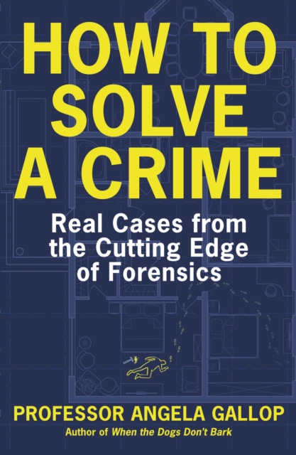 Book cover of How to Solve a Crime