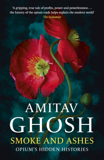 Book cover of Smoke And Ashes