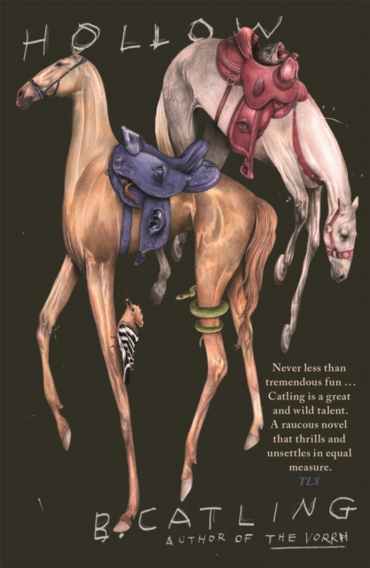 Book cover of Hollow