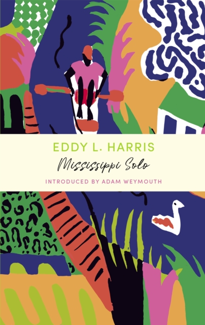 Book cover of Mississippi Solo