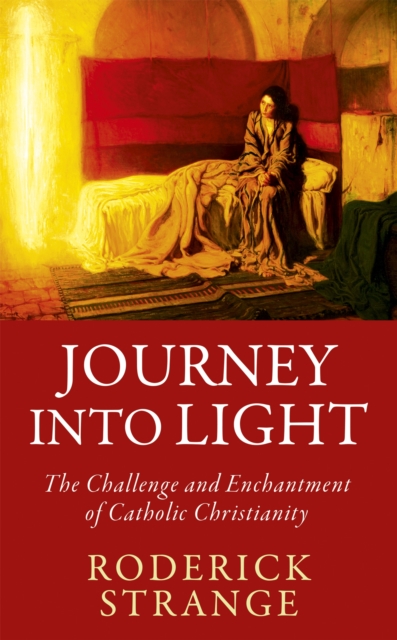 Book cover of Journey into Light