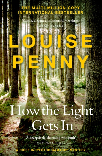 Book cover of How The Light Gets In