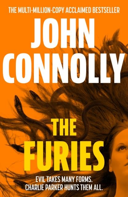 Book cover of The Furies