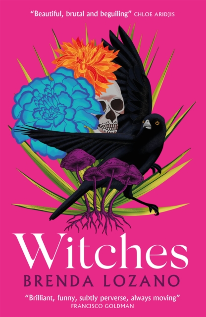 Book cover of Witches