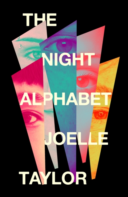 Book cover of The Night Alphabet