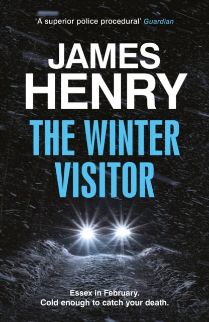 Book cover of The Winter Visitor