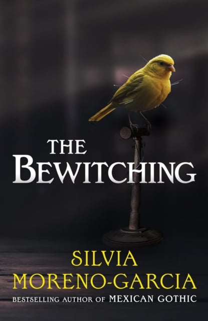 Book cover of The Bewitching