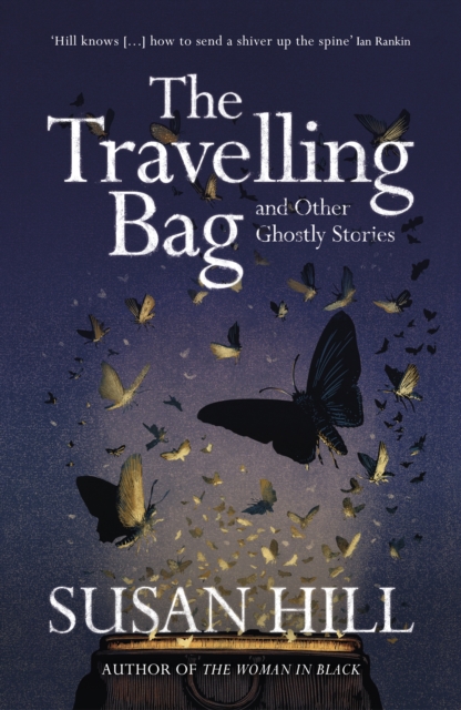 Book cover of The Travelling Bag