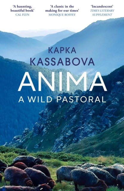 Book cover of Anima
