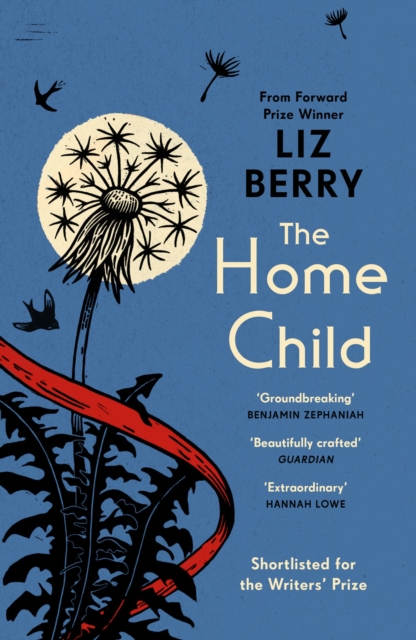 Book cover of The Home Child