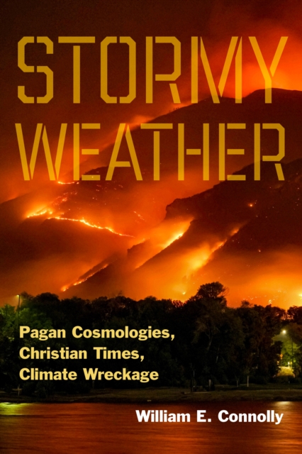 Book cover of Stormy Weather