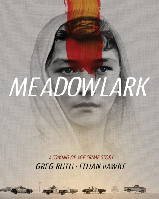 Book cover of Meadowlark
