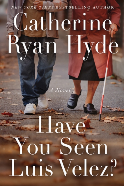Book cover of Have You Seen Luis Velez?